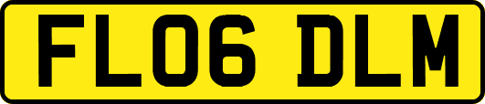 FL06DLM