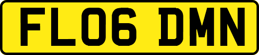 FL06DMN