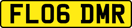 FL06DMR