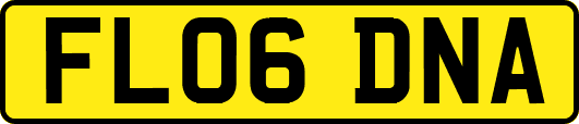 FL06DNA