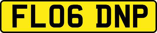 FL06DNP