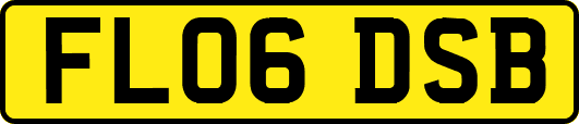 FL06DSB