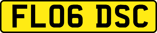 FL06DSC