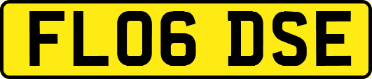 FL06DSE