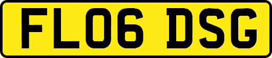 FL06DSG