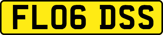 FL06DSS