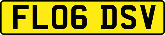 FL06DSV