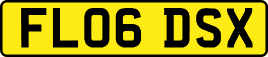 FL06DSX