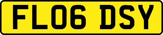 FL06DSY