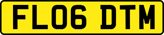 FL06DTM