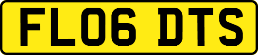 FL06DTS
