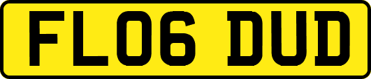 FL06DUD