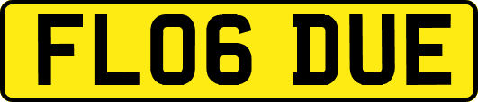 FL06DUE