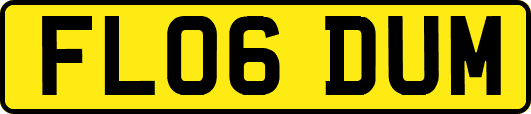 FL06DUM