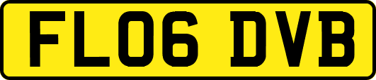 FL06DVB