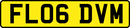 FL06DVM