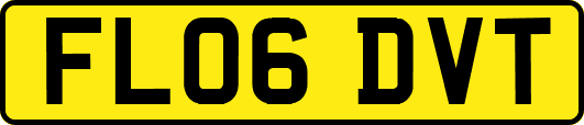 FL06DVT
