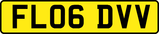 FL06DVV