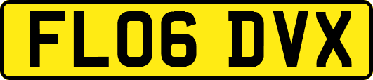 FL06DVX