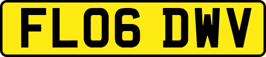 FL06DWV