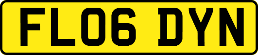 FL06DYN