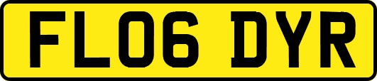 FL06DYR