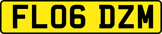 FL06DZM