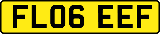 FL06EEF