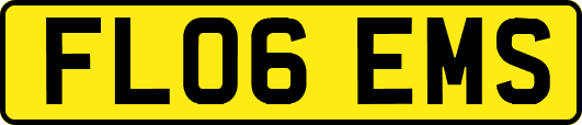 FL06EMS