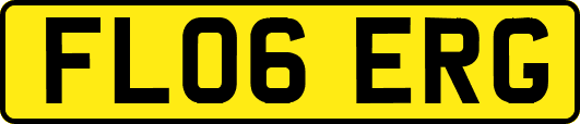 FL06ERG