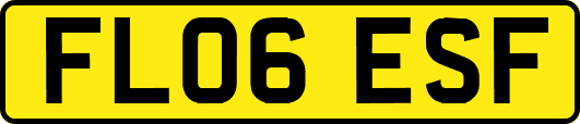 FL06ESF