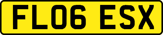 FL06ESX