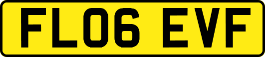 FL06EVF