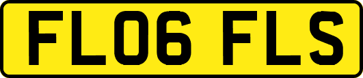 FL06FLS