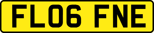 FL06FNE