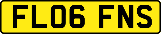 FL06FNS