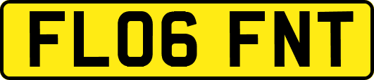 FL06FNT