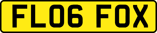 FL06FOX