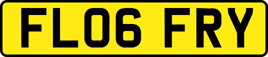 FL06FRY