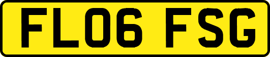 FL06FSG