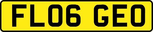 FL06GEO