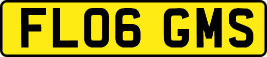 FL06GMS