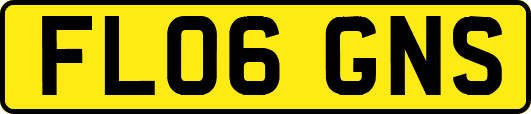 FL06GNS