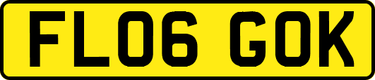 FL06GOK