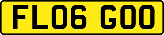 FL06GOO