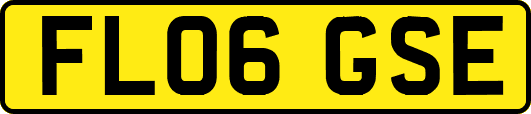 FL06GSE