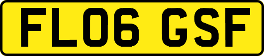 FL06GSF