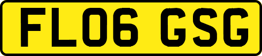 FL06GSG