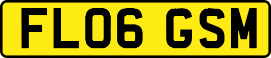FL06GSM