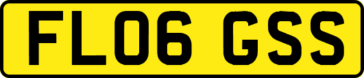 FL06GSS